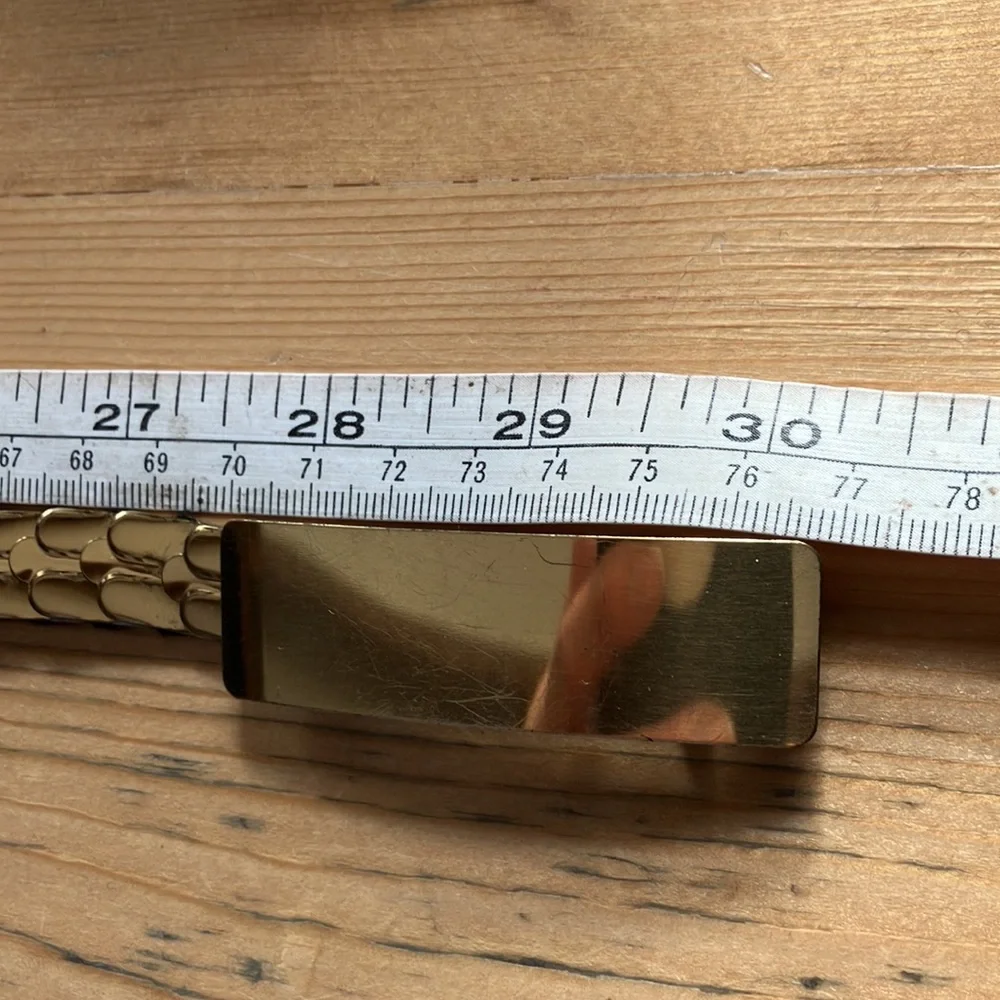 Vintage 80s Belt Gold Tone Stretch Metal Fish Scales/Snake Belt